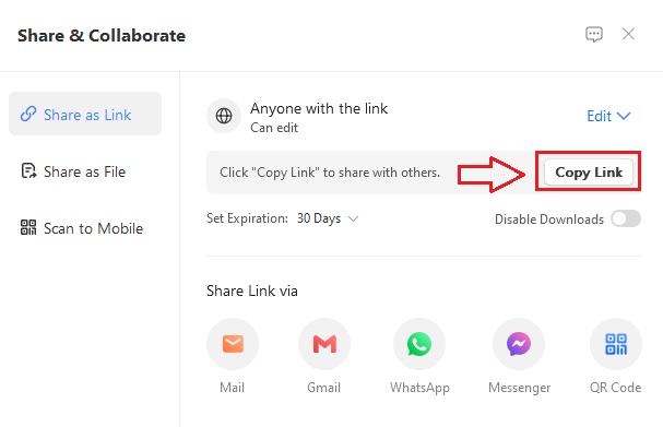 Copying the File Link