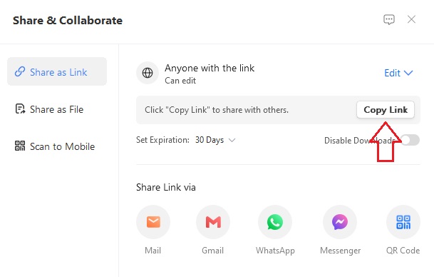 Copying the File Share Link