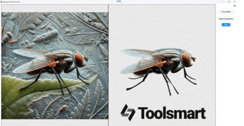 Toolsmart Background RemoverToolsmart Background Remover