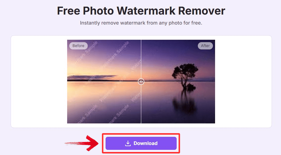 Download the image