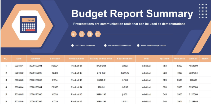 Budget Report Summary 1